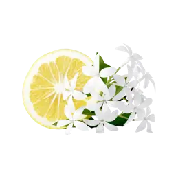 Limone | Gelsomino